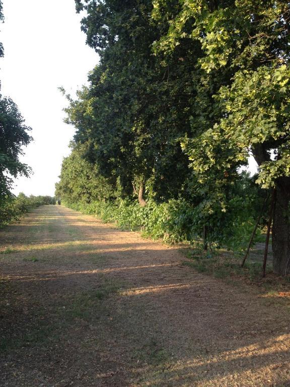 Societa Agricola Le More Agriturismo La Dondina Будрио Екстериор снимка